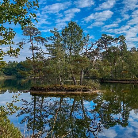 Bospareltjes Luxe Chalets Alleen Voor Recreatie Oisterwijk Zewnętrze zdjęcie