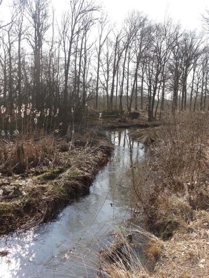 Bospareltjes Luxe Chalets Alleen Voor Recreatie Oisterwijk Zewnętrze zdjęcie