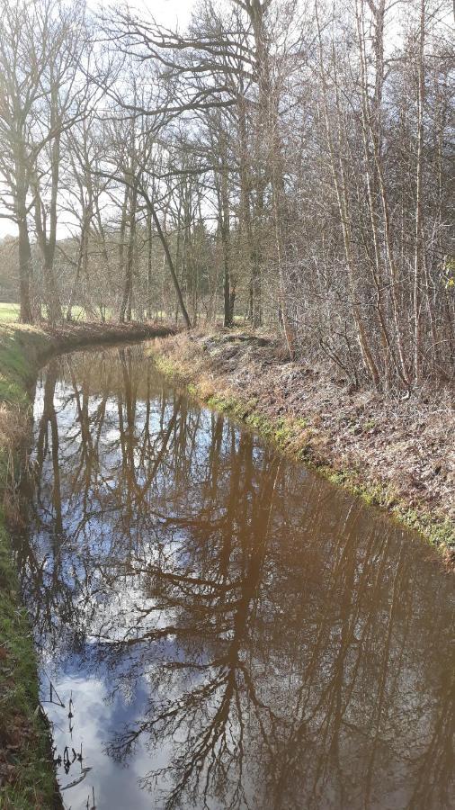 Bospareltjes Luxe Chalets Alleen Voor Recreatie Oisterwijk Zewnętrze zdjęcie